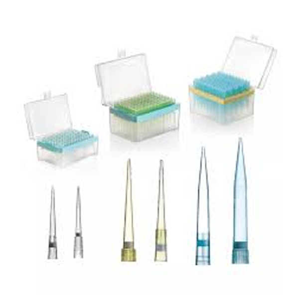 Pipette Tips (Filtered)